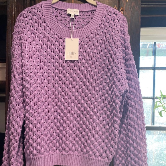 NWT- Lucy Paris Parker Sweater - Picture 4 of 9